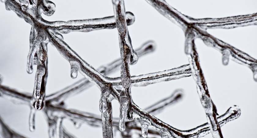 W Toruniu chwyci mróz. Synoptycy podają wstępną datę