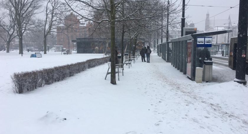 Prawdziwy atak zimy. Do Torunia nadchodzi niż Brygida