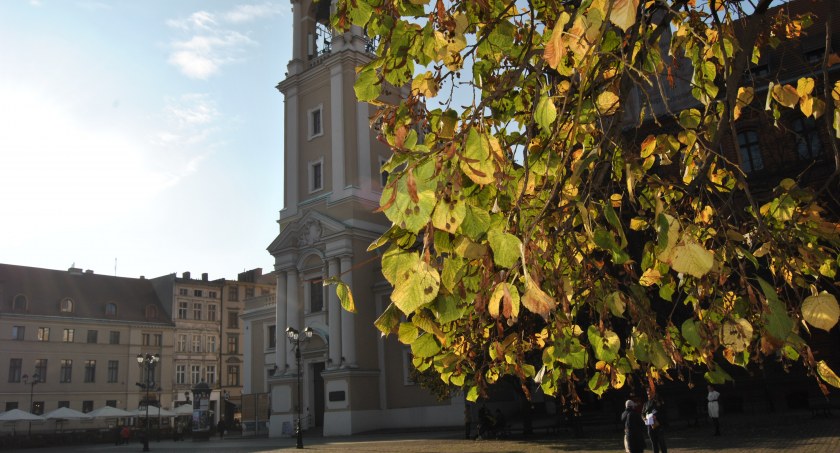 Pogoda wciąż zaskakuje. Niezwyłe warunki meteo w Toruniu