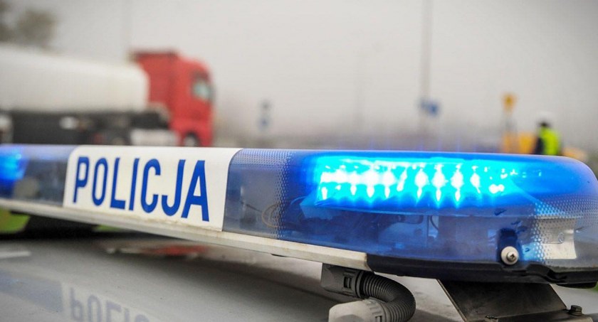 Dwa wypadki w Toruniu, jeden po drugim. Trzy dziki zginęły na miejscu