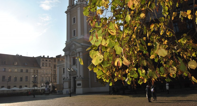 Gwałtowne ocieplenie w Toruniu! Synoptycy podają datę