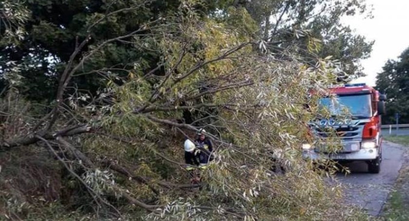 Silne załamanie pogody w Toruniu. Synoptycy zapowiadają alerty