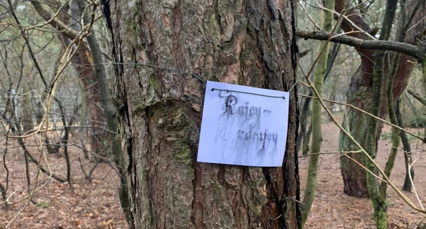 Mieszkańcy wkurzeni na władzę. W lesie w Toruniu pojawiły się karteczki