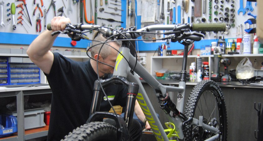 Reinowski Rowery Artbike – eksperci od przygotowań do sezonu rowerowego w Toruniu