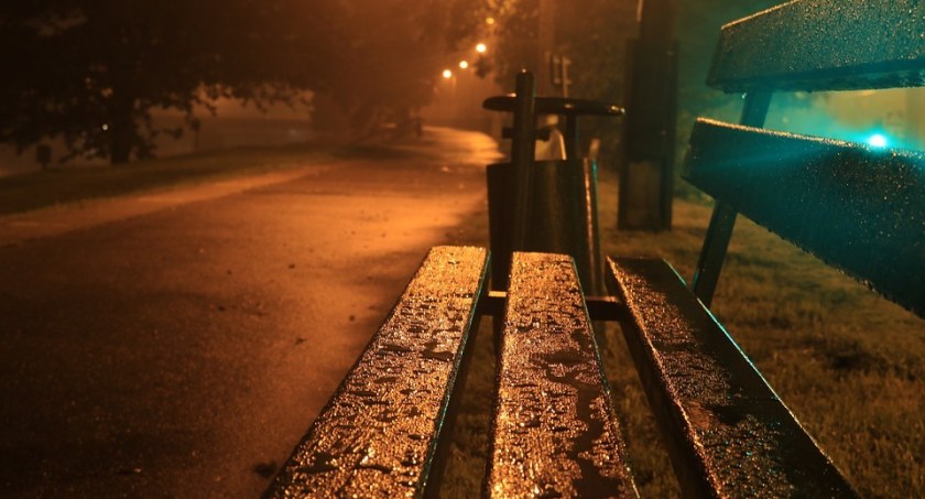 Przestępca zatrzymany w centrum Torunia. Wpadł przez własną głupotę