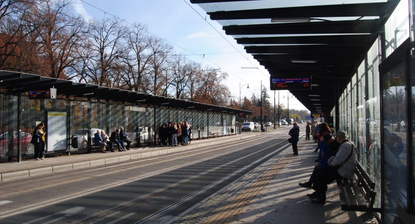 Matka zgubiła 5-letnie dziecko w centrum Torunia