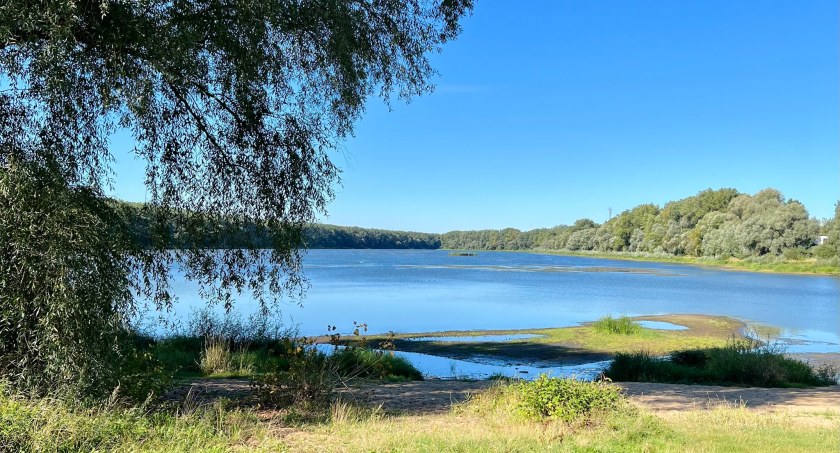Port Drzewny w Toruniu przywrócony dla mieszkańców. Wyczekiwana inwestycja na finiszu
