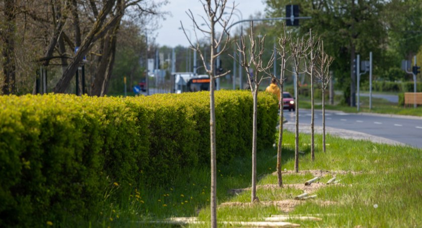 W Toruniu powstała zielona szosa do Bydgoszczy