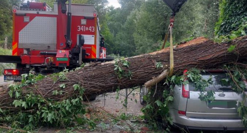 Silny wiatr w Toruniu. Drzewa spadały na samochody