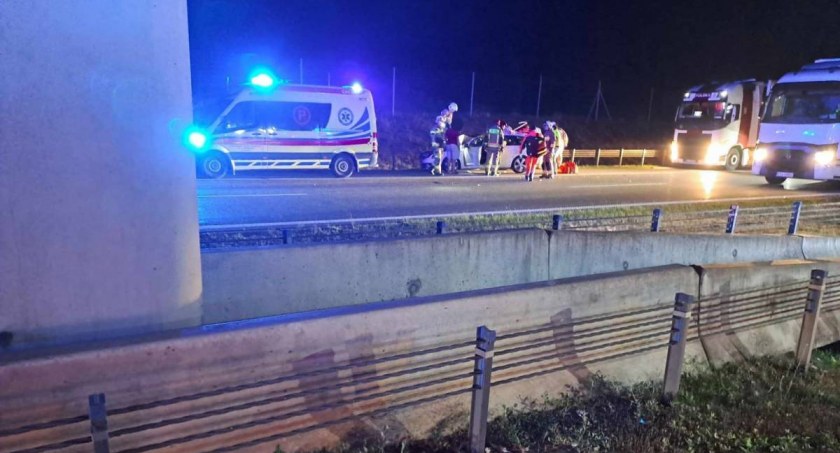 Śmiertelny wypadek pod Toruniem. Kierowca uderzył w zwierzę