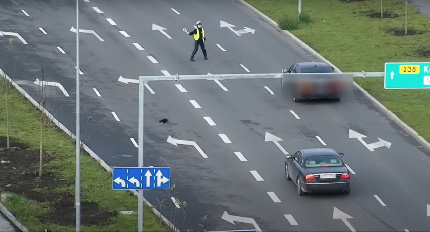 Akcja specjalna „drogówki” w Toruniu. Posypały się mandaty