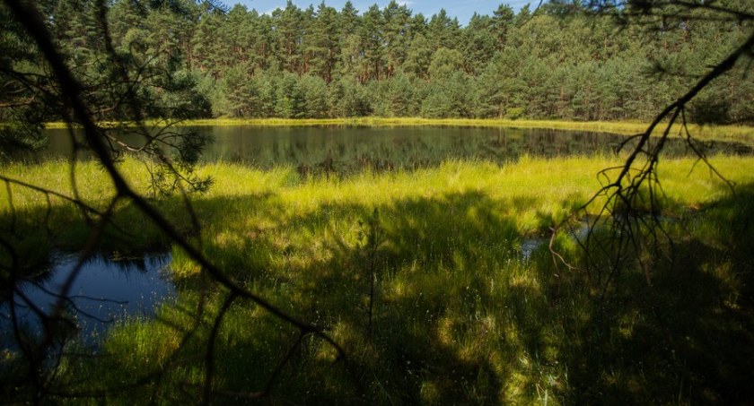 Oto najbardziej zróżnicowany Park Krajobrazowy w województwie. Ma ponad 23 ha