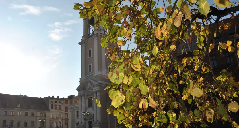 Pogoda w Toruniu znowu zaszaleje. I to już po weekendzie