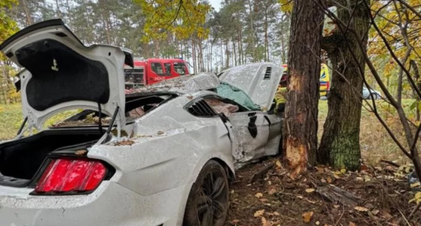 Wypadek pod Toruniem. Sportowe auto roztrzaskało się na drzewie