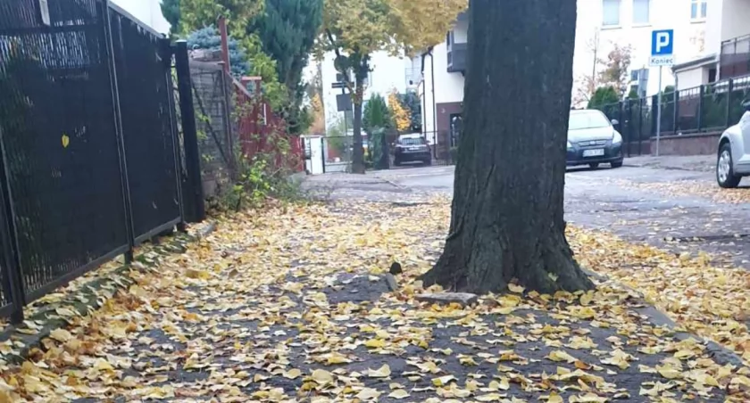 Załamanie pogody w Toruniu. Mocno namiesza niż Cord