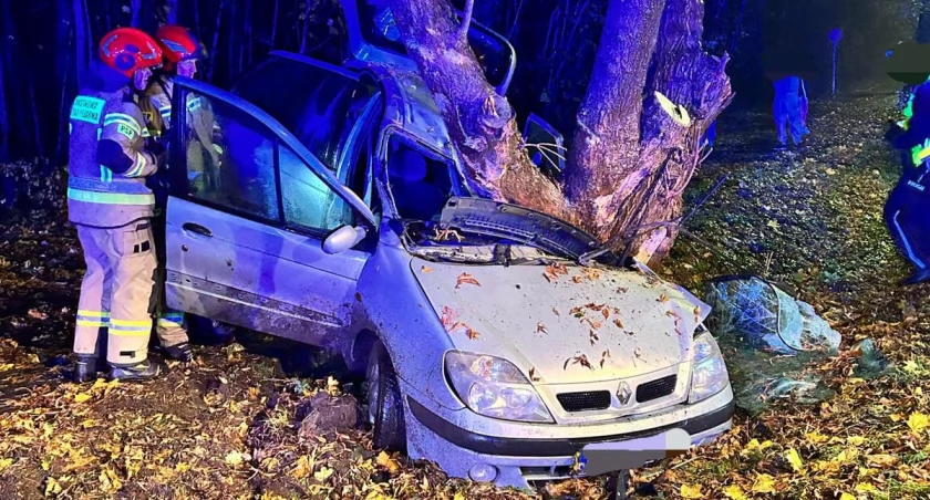 Kierowca przeszarżował na zakręcie w Toruniu. Auto roztrzaskało się na drzewie