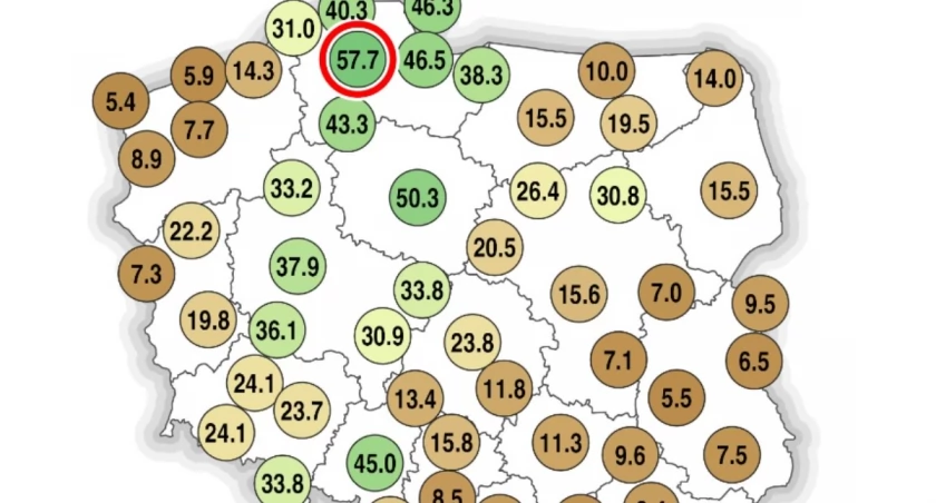 Zaskakujące dane IMGW. W Toruniu przekroczono 150 proc. normy