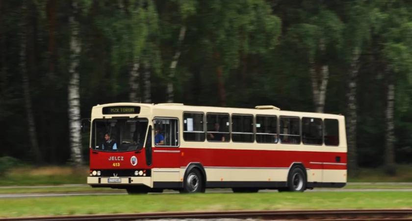 Zabytkowy Jelcz znów wyjedzie na toruńskie ulice. Będzie kursował na tej trasie