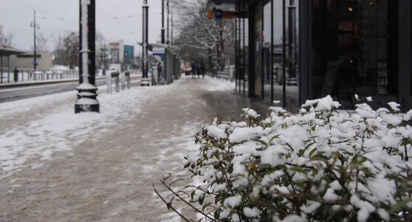 Zima wdziera się do Polski. W Toruniu spadnie pierwszy śnieg
