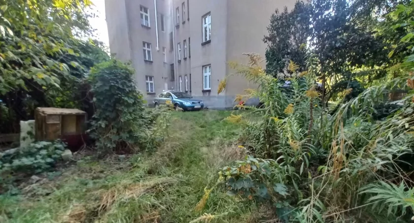 Działka pod blok w Toruniu sprzedana za fortunę. Był tam przydomowy ogród