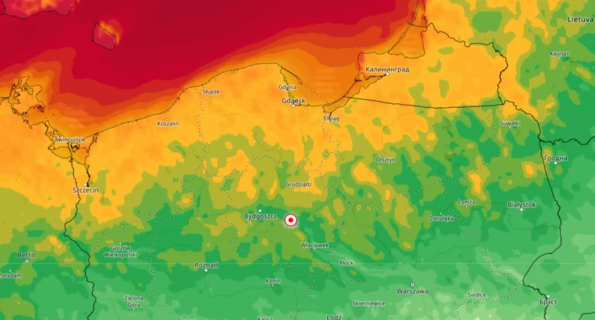 Alarm w Toruniu. Nadciąga najpotężniejsza wichura w tym sezonie