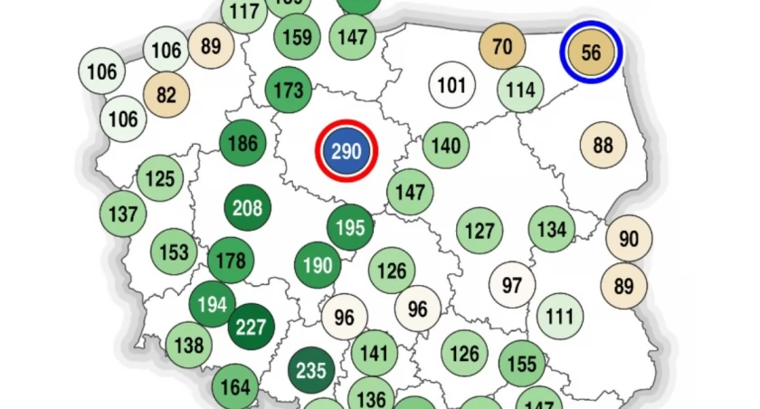Pogodowa anomalia w Toruniu. Przekroczyliśmy aż 290 proc. normy