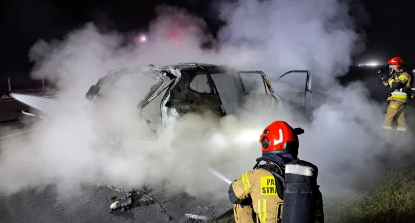Pożar hybrydy pod Toruniem. Z samochodu zostało niewiele [FOTO]