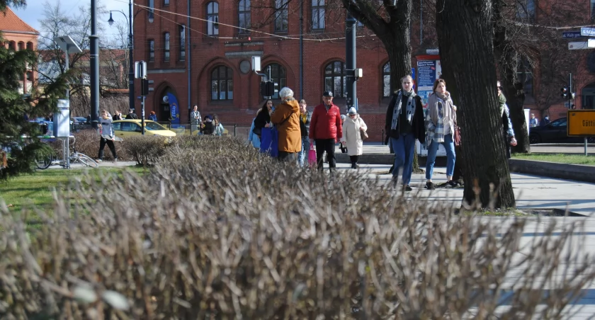 Czapki z głów, bo nadchodzi ocieplenie. Totalna zmiana pogody w Toruniu