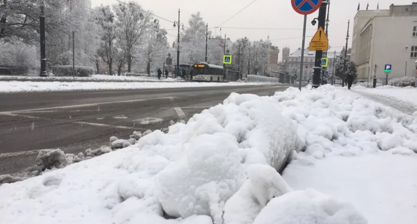 W Toruniu zostaną uruchomione autobusowe linie specjalne. Wszystkie kursy darmowe