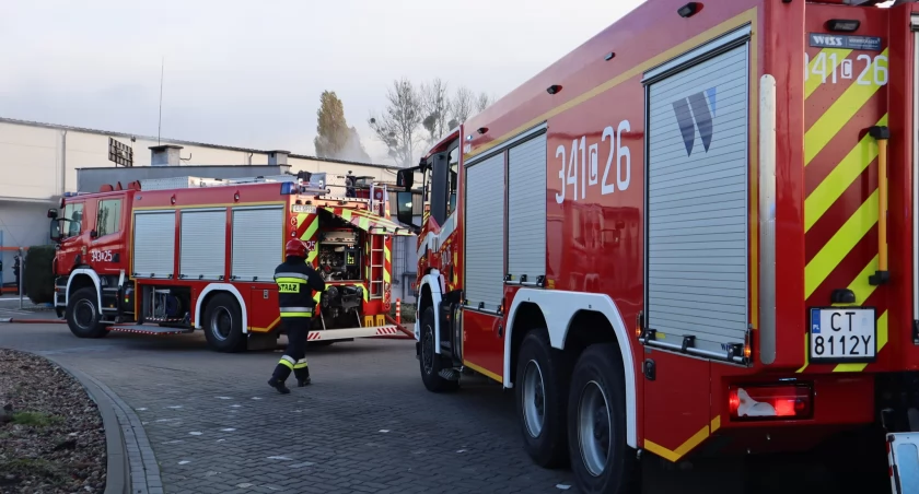 Pożar w restauracji w Toruniu. Lokal został zamknięty