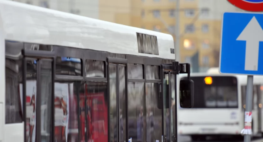 W Toruniu zostaną uruchomione specjalne darmowe linie autobusowe