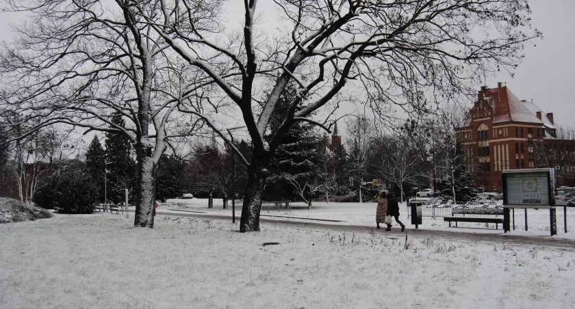 Śnieg i przymrozki. Do Torunia niebawem wróci zima!