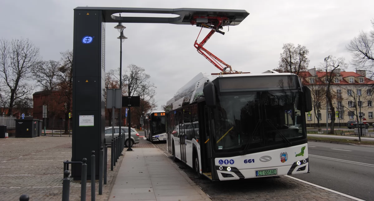 Rusza nowa linia MZK. Połączy Toruń i znany kurort
