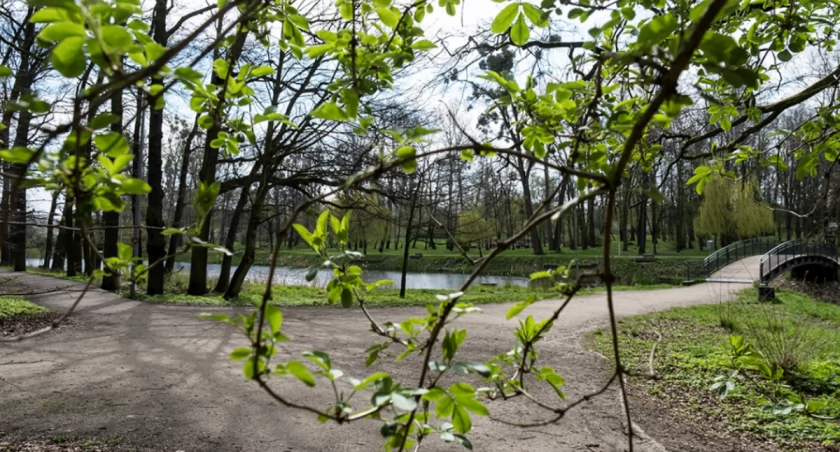Wiosna w końcu zawita do Torunia. Będzie słońce i 15 stopni