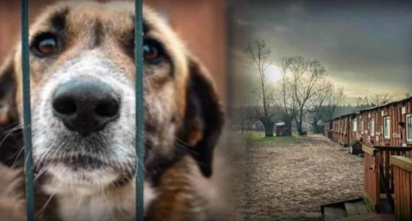 Znana Fundacja z Torunia otrzymała rachunek za prąd. Kolosalna kwota na fakturze