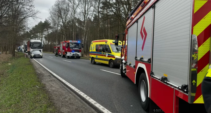Wypadek ciężarówek na trasie Toruń - Bydgoszcz. Na jezdnię wypadł przewożony towar