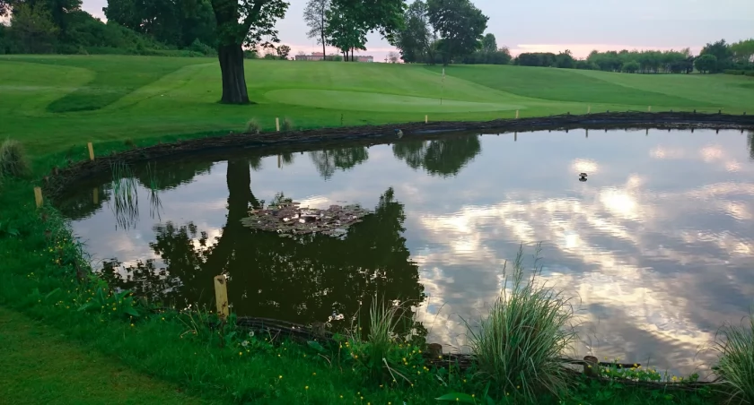 Junior Golf Team - w tym miejscu w Toruniu dzieci mogą grać za darmo 
