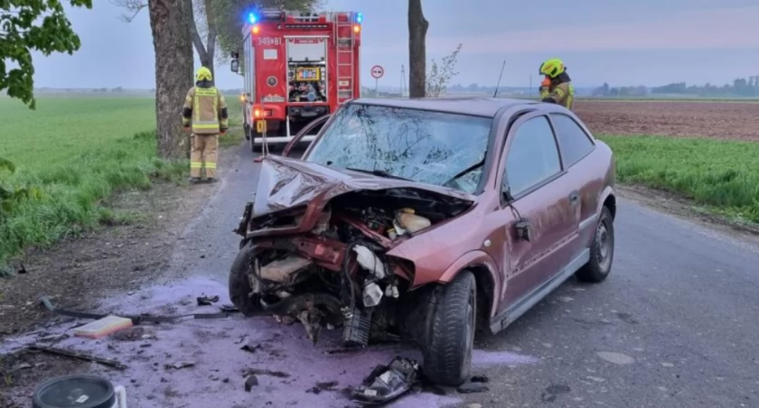 Groźny wypadek pod Toruniem. Kierowca rozbił się na drzewie