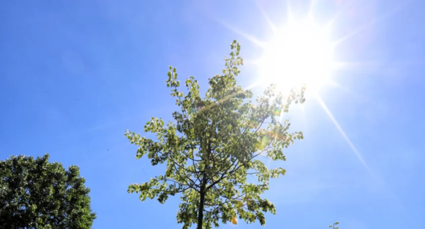 Temperatura w Toruniu wystrzeli. Na termometrach dawno niewidziane wartości