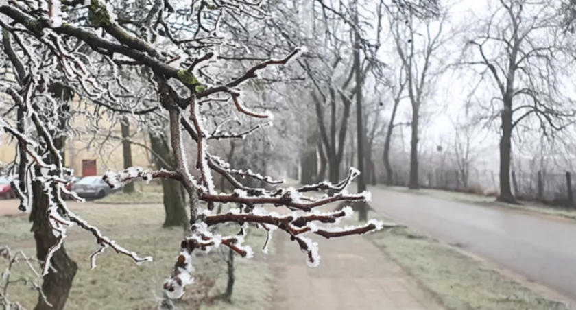 Powiew zimy w Toruniu. Czeka nas ostry zjazd temperatury