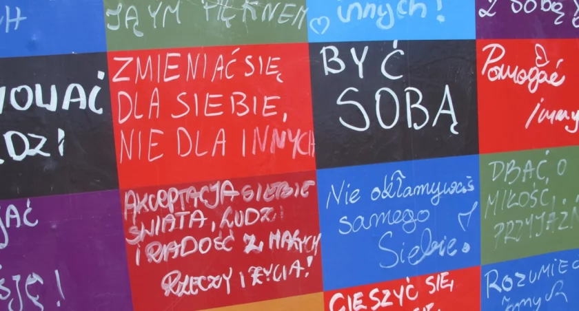 120 tys. zł na ochronę zdrowia psychicznego w Toruniu i województwie