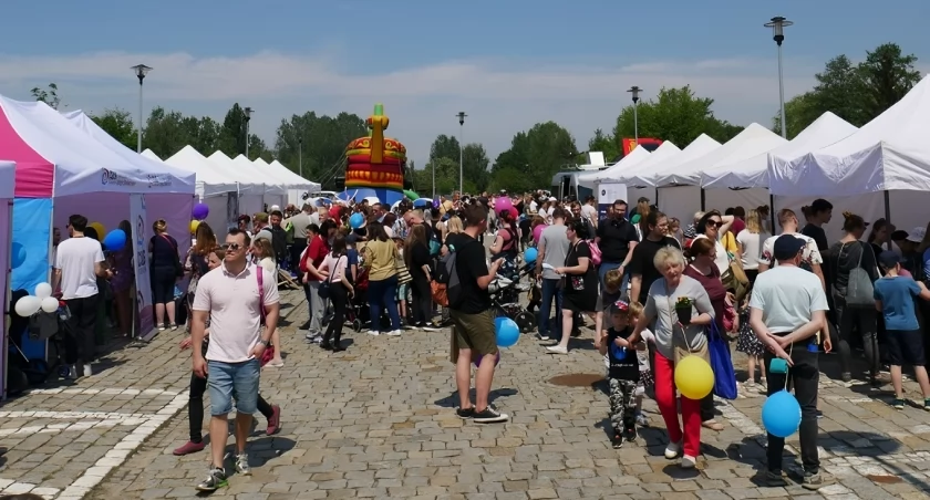 Wielki piknik odbędzie się w Toruniu. Z atrakcji skorzystacie ZA DARMO