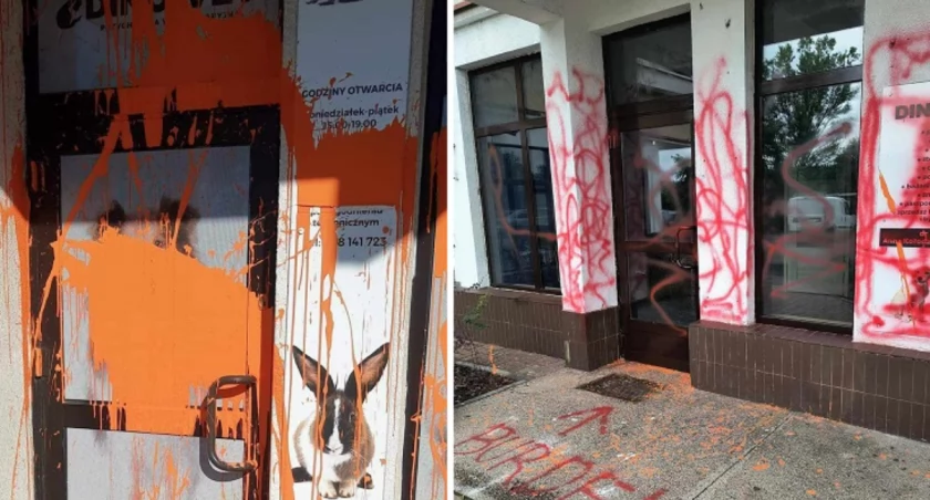 Przychodnia weterynaryjna w Toruniu ponownie zniszczona. Właścicielka wyznaczyła nagrodę