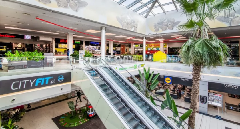 Dzień zdrowia w Toruń Plaza. W tych godzinach zbadasz się ZA DARMO 