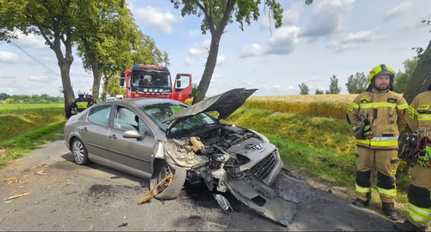 Kierowca wjechał w przydrożne drzewo na drodze pod Toruniem