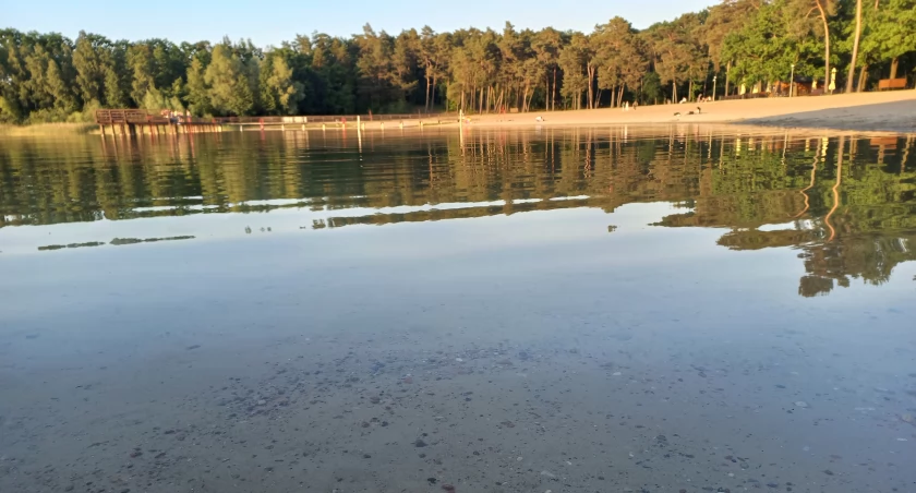 MZK w Toruniu uruchamia autobus nad popularne jezioro. Pierwszy kurs już w sobotę