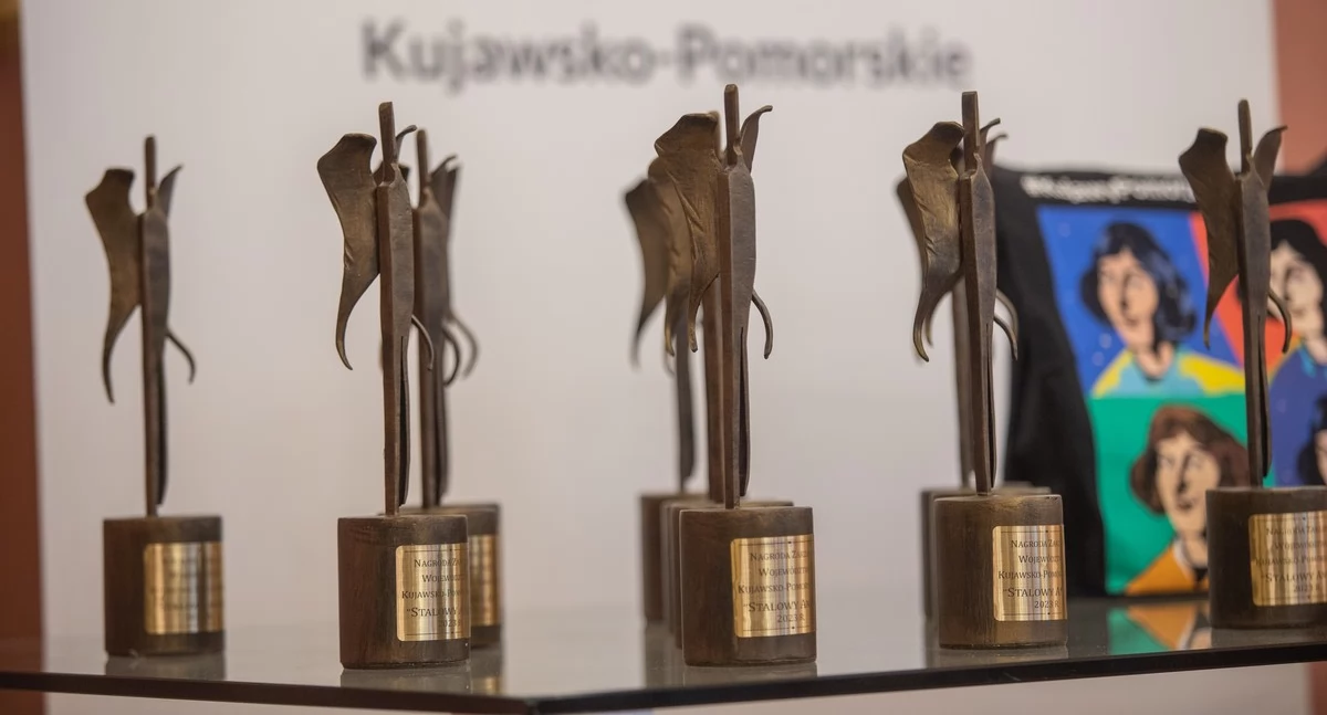 Stalowe Anioły – zarząd województwa nagrodzi liderów pomocy społecznej