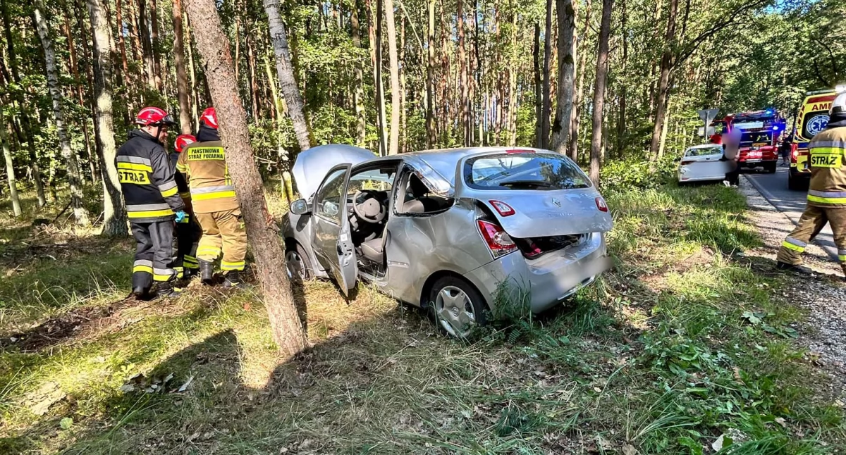 Wypadek pod Toruniem. Kobieta uderzyła w drzewo 