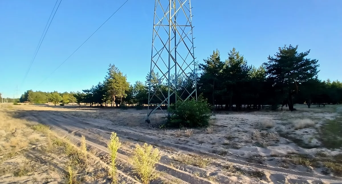 W Toruniu zostanie sprzedanych 31 działek. Powstanie tam duże osiedle 