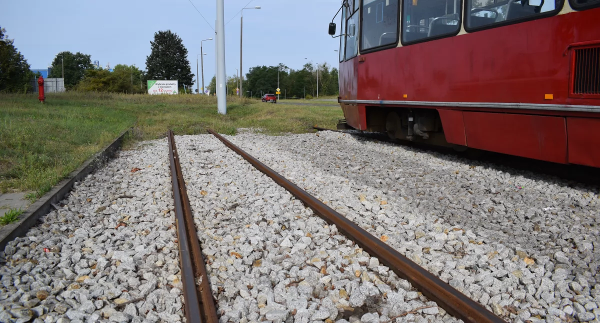 W Toruniu powstanie nowa linia tramwajowa. Ma ożywić opuszczone tereny 